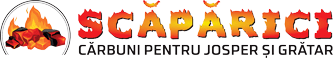 scaparici.ro